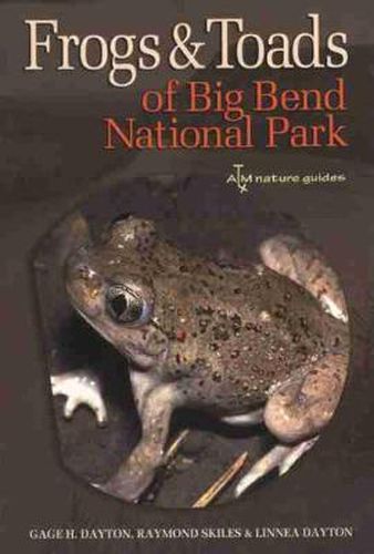 Cover image for Frogs and Toads of Big Bend National Park