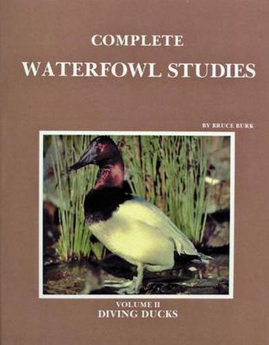 Cover image for Complete Waterfowl Studies