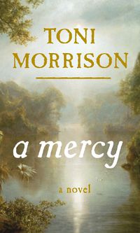 Cover image for A Mercy