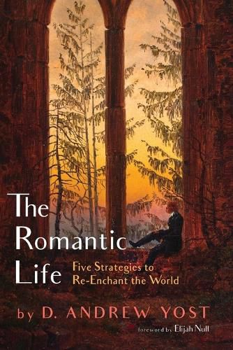 Cover image for The Romantic Life: Five Strategies to Re-Enchant the World