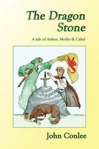 Cover image for The Dragon Stone