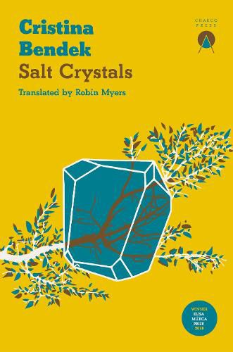 Cover image for Salt Crystals