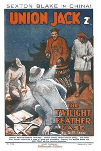 Cover image for The Twilight Feather Case