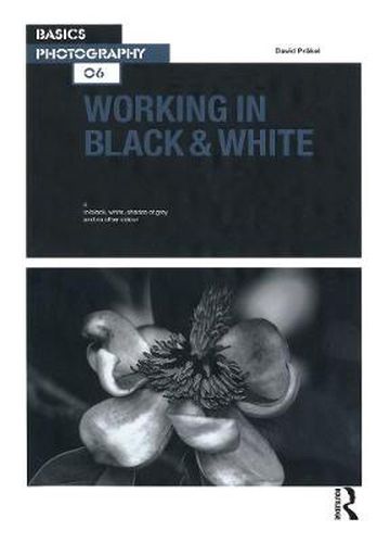 Cover image for Working in Black & White