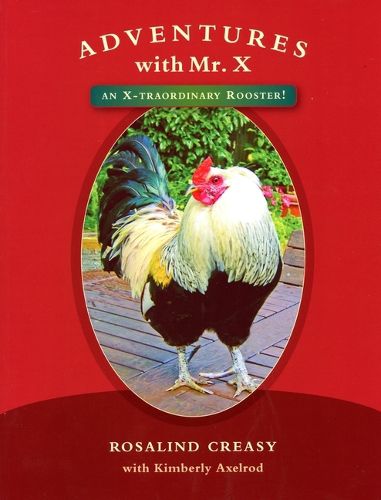 Cover image for Adventures with Mr. X