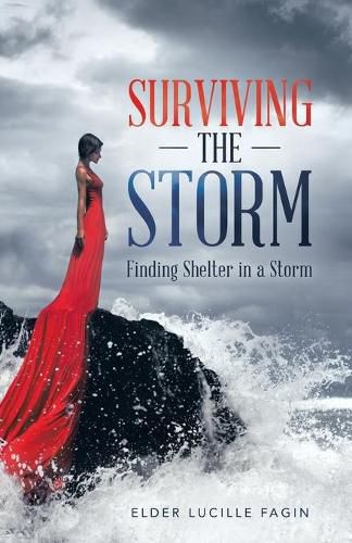 Cover image for Surviving the Storm: Finding Shelter in a Storm