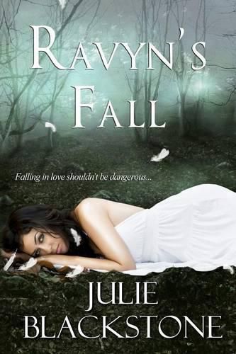 Cover image for Ravyn's Fall: (Heaven and Hell)