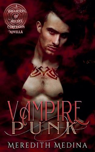 Cover image for Vampire Punk