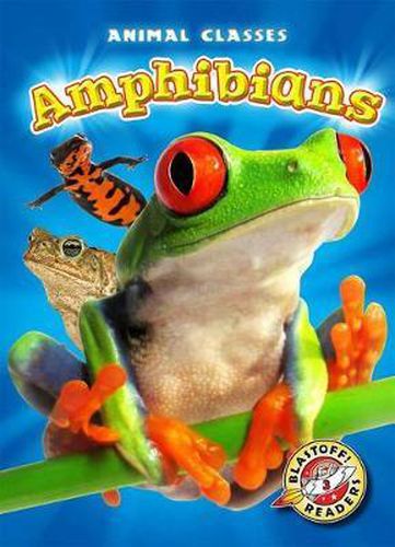 Amphibians