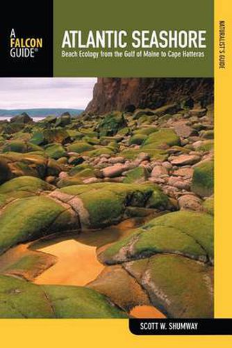 Cover image for Naturalist's Guide to the Atlantic Seashore: Beach Ecology From The Gulf Of Maine To Cape Hatteras