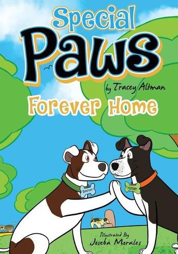 Cover image for Special Paws: Forever Home