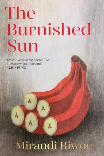 Cover image for The Burnished Sun