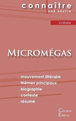 Cover image for Fiche de lecture Micromegas de Voltaire (Analyse litteraire de reference et resume complet)