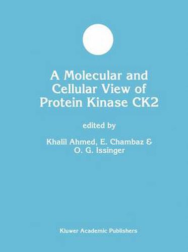 Cover image for A Molecular and Cellular View of Protein Kinase CK2