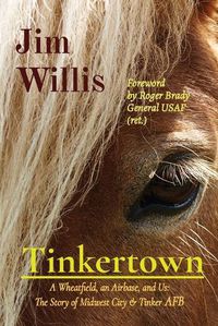 Cover image for Tinkertown