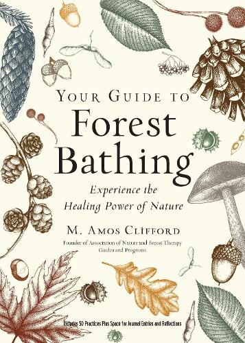 Cover image for Your Guide to Forest Bathing (Expanded Edition): Experience the Healing Power of Nature Includes 50 Practices Plus Space for Journal Entries and Reflections