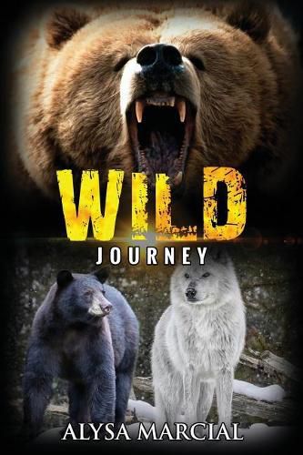 Cover image for Wild Journey