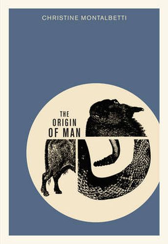 Cover image for The Origin of Man