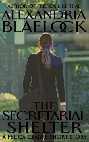 Cover image for The Secretarial Shelter