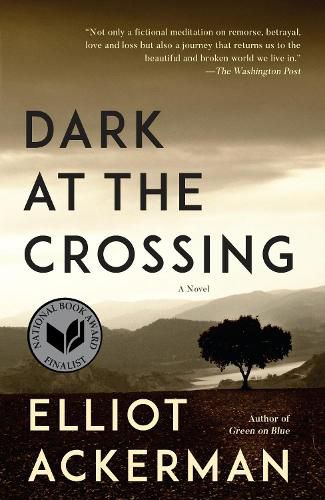 Cover image for Dark at the Crossing