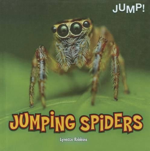 Cover image for Jumping Spiders