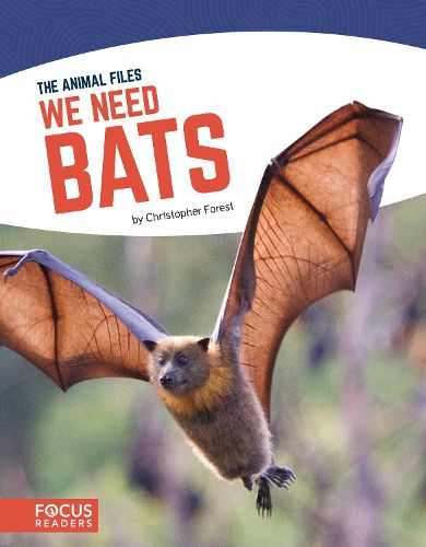 Cover image for Animal Files: We Need Bats