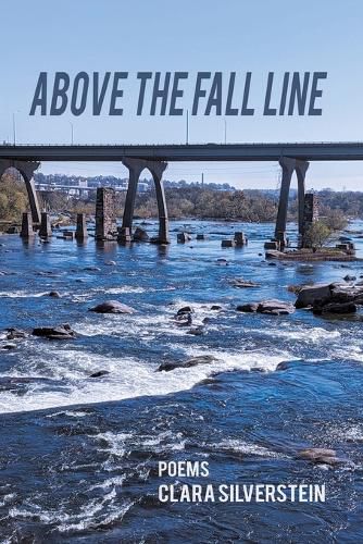 Cover image for Above the Fall Line