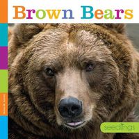 Cover image for Brown Bears