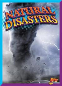 Cover image for Natural Disasters