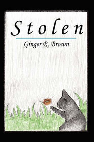 Cover image for Stolen