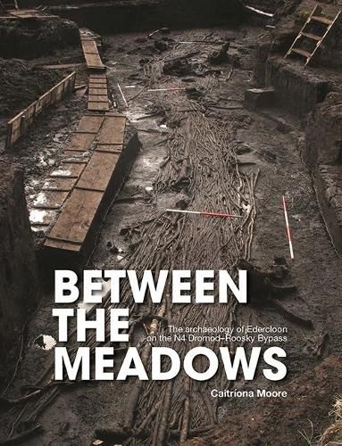 Cover image for Between the Meadows: The archaeology of Edercloon on the N4 Dromod-Roosky Bypass