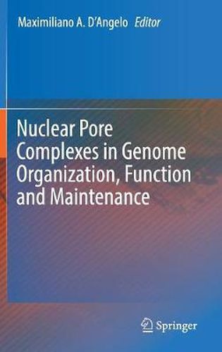 Cover image for Nuclear Pore Complexes in Genome Organization, Function and Maintenance
