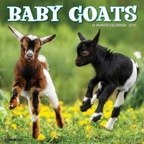 Cover image for Baby Goats 2026 12 X 12 Wall Calendar