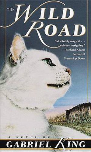 Cover image for The Wild Road: A Novel