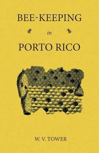 Cover image for Bee Keeping in Porto Rico