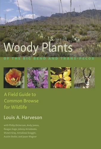 Cover image for Woody Plants of the Big Bendand Trans-Pecos: A Field Guide to Common Browse for Wildlife