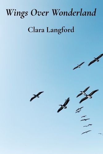Cover image for Wings Over Wonderland
