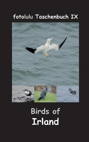 Cover image for Birds of Irland: fotolulu Taschenbuch IX