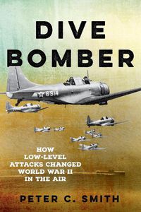 Cover image for Dive Bomber