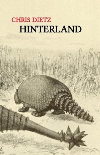 Cover image for Hinterland