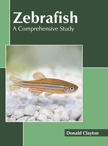 Cover image for Zebrafish: A Comprehensive Study