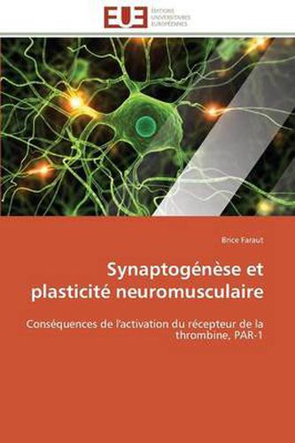 Cover image for Synaptog n se Et Plasticit Neuromusculaire