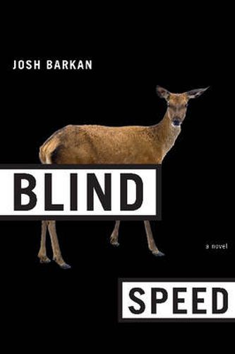 Cover image for Blind Speed: A Novel