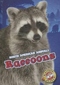 Cover image for Raccoons