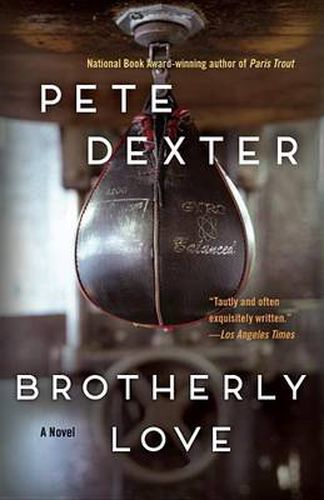 Cover image for Brotherly Love: A Novel