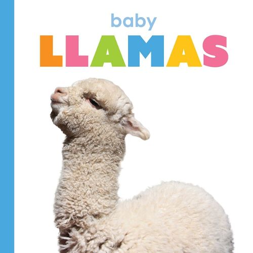 Cover image for Baby Llamas