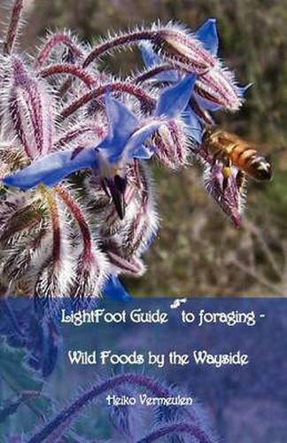 Cover image for Lightfoot Guide to Foraging - Wild Foods by the Wayside