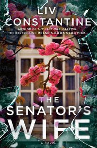 Cover image for The Senator's Wife: A Novel