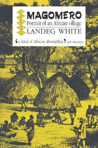 Cover image for Magomero: Portrait of an African Village