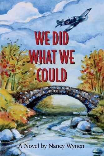 Cover image for We Did What We Could